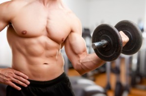 schneller Muskelaufbau